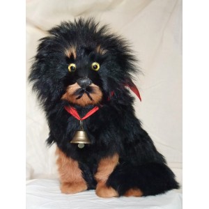 Chien
